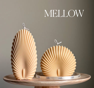 Sea Shell Candle Duo: Decorative Soy Wax Clam Shell Candles