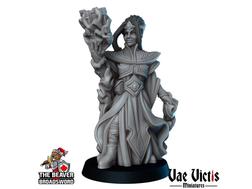 Female Human Wizard dnd mini - Vae Victis | Sorcerer | Warlock | Hero | PC | Alchemist | City | Player | Magician | Pathfinder | Magic Epic