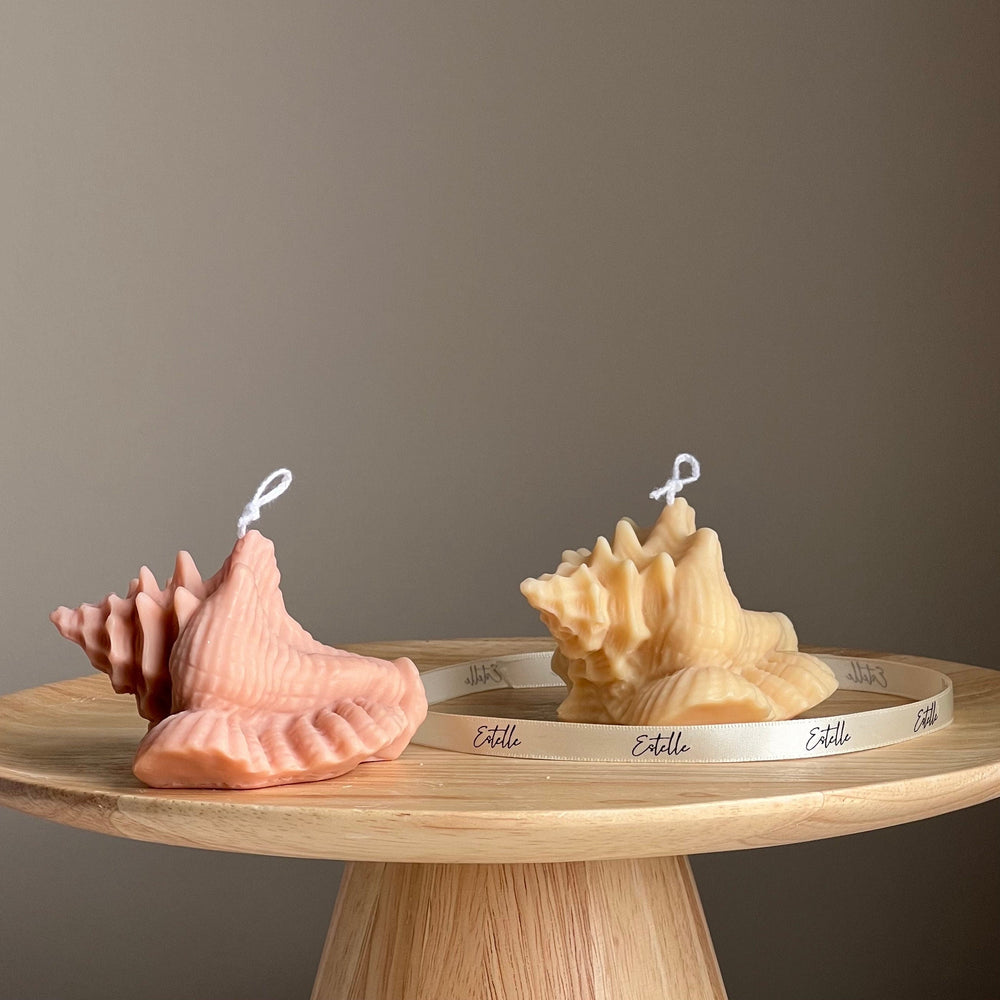 Bougie de soja Coquille de palourde | Coquillage décoratif
