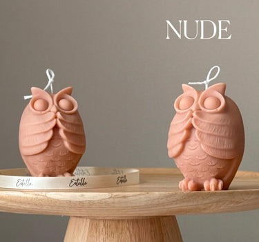 Handmade Owl Soy Candle: Sculptural Home Decor, New Home Gift