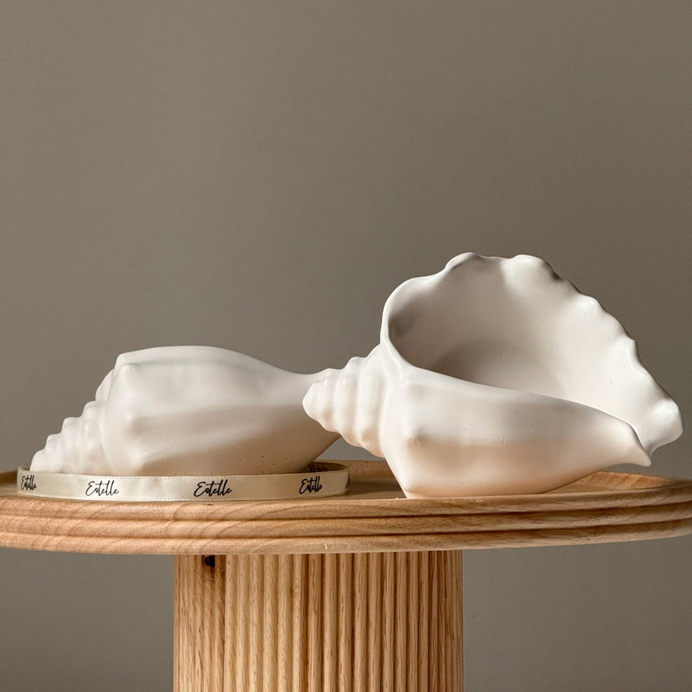 Conch Shell Jesmonite Trinket Tray: Coastal Jewelry Storage Dish