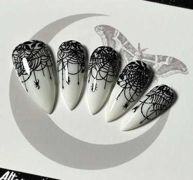 Lace-Web Chic