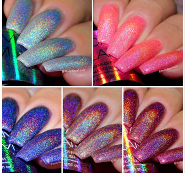 Holo Collection