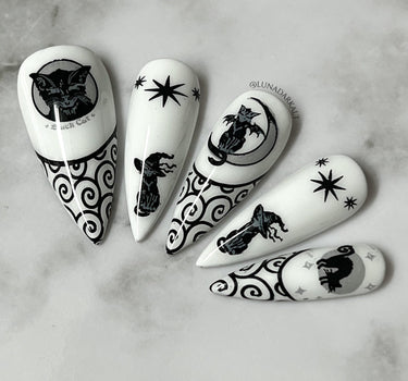 Witches Familiar