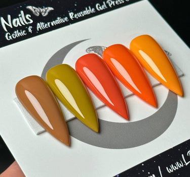 Pumpkin Spice Collection