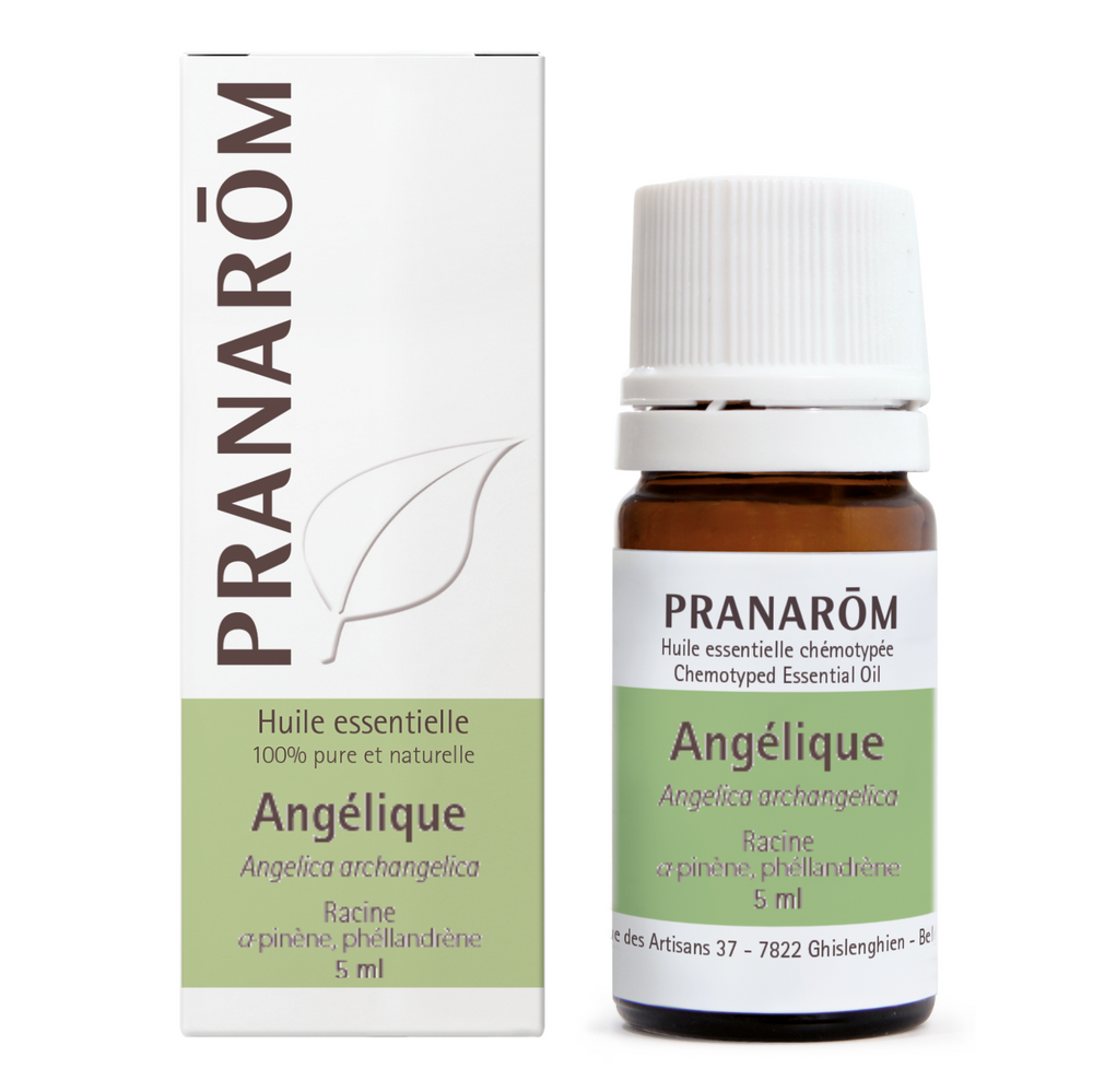 Angelica - root — Unytii - Suppléments et Produits Naturels