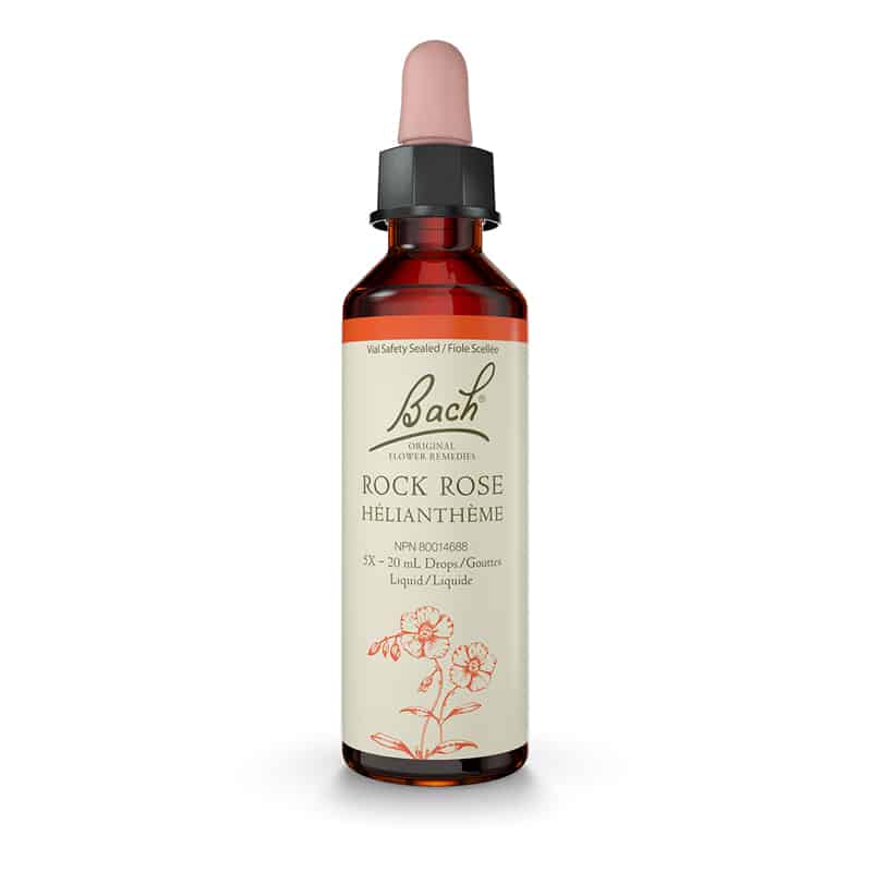 Rock Rose — Unytii - Suppléments et Produits Naturels