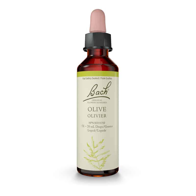 Olive — Unytii - Suppléments et Produits Naturels