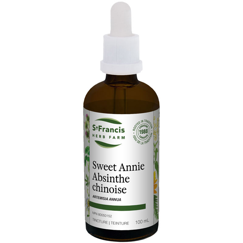 Chinese Wormwood (Artemisia annua) — Unytii - Suppléments et Produits Naturels