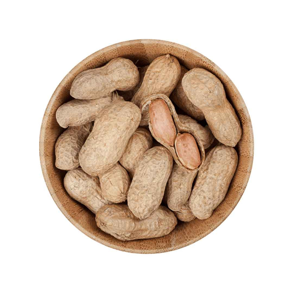 Cacahuètes décortiquées géantes Rayhana – Qualité supérieure