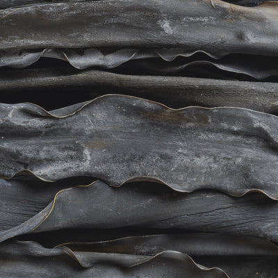 KOMBU