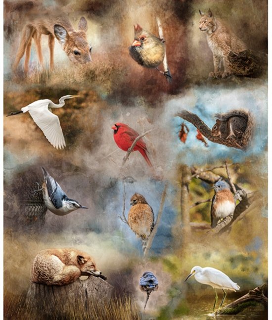 Hoffman Fabrics - Niché dans la nature - panneau