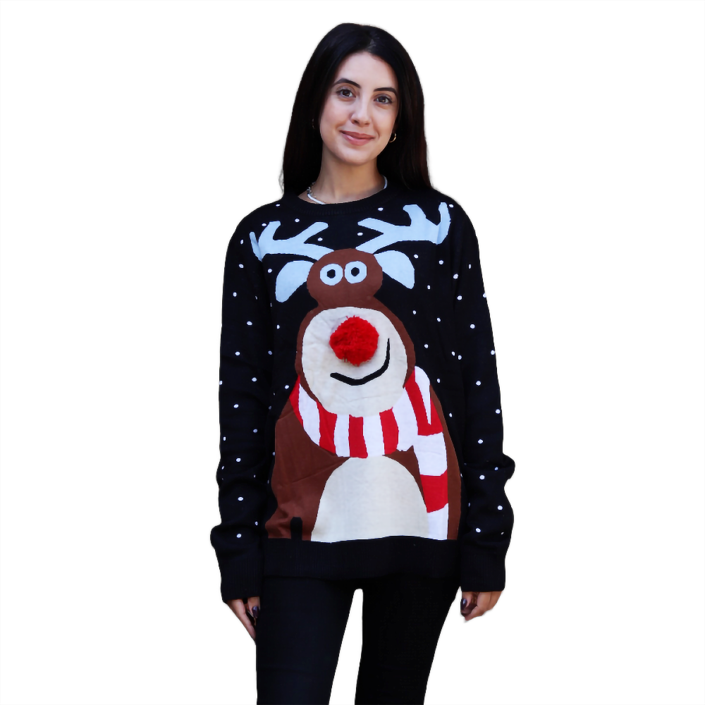 Pull de Noël Rennes Curieusement.