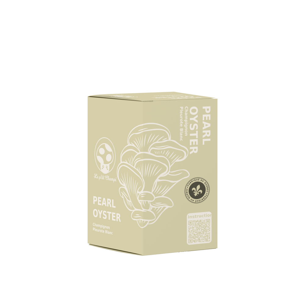 Pearl Oyster Mushroom Kit