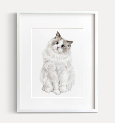 Ragdoll Cat Art Print