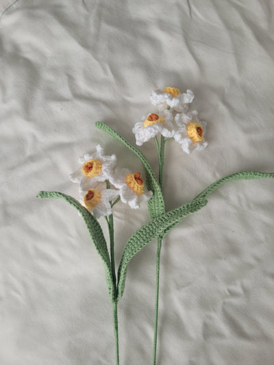 Daffodils