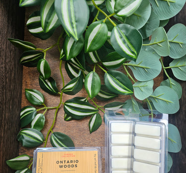 Wax melt bar: Ontario Woods 1.75oz