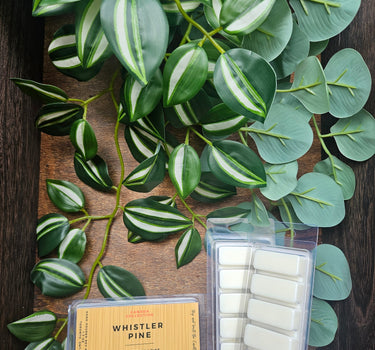 Wax melt bar: Whistler Pine. 1.75oz