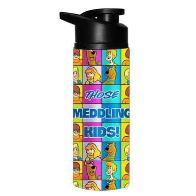 Bouteille d'eau Scooby Doo Meddling Kids Grid 25 oz en acier inoxydable