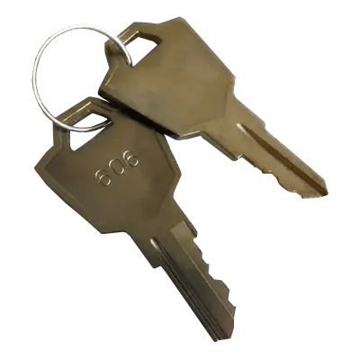 EZee Life SK-0110 Replacement Scooter Keys | Elite Classic Rover EZee Travel