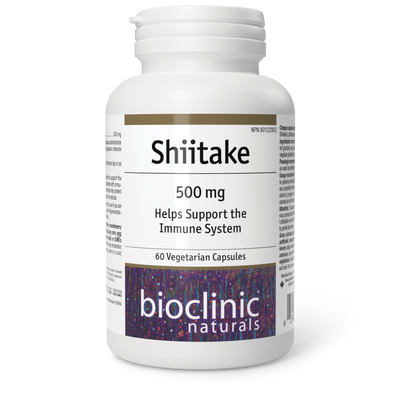 Shiitake