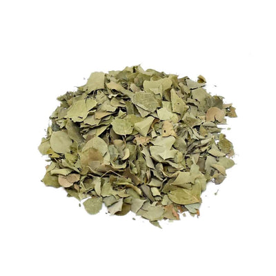 Feuilles de Sidr – Feuilles séchées 100% naturelles ورق السدر