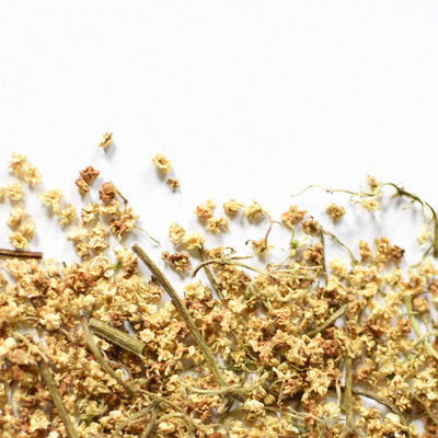 Elderflower