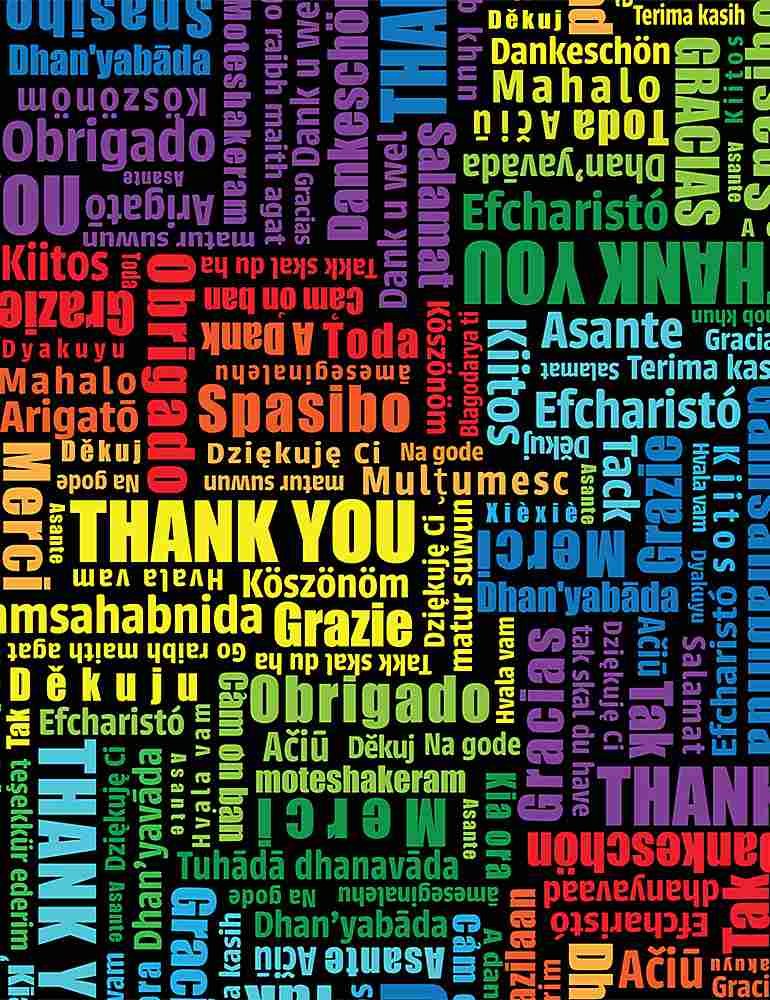 Timeless Treasures - Thanks Multilingual — Cottage Quilting Ltd.