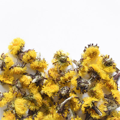Tussilage, fleur