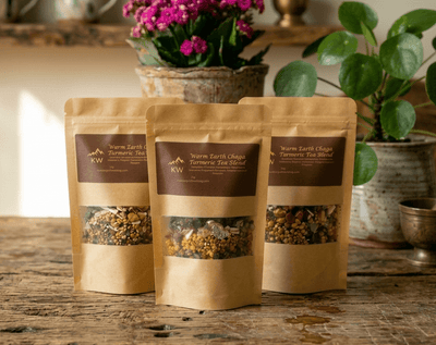 Infusion Chaga Curcuma Terre Chaude