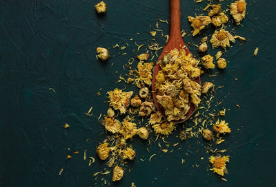 Fleurs d'Arnica Sauvage Cueillies à la Main
